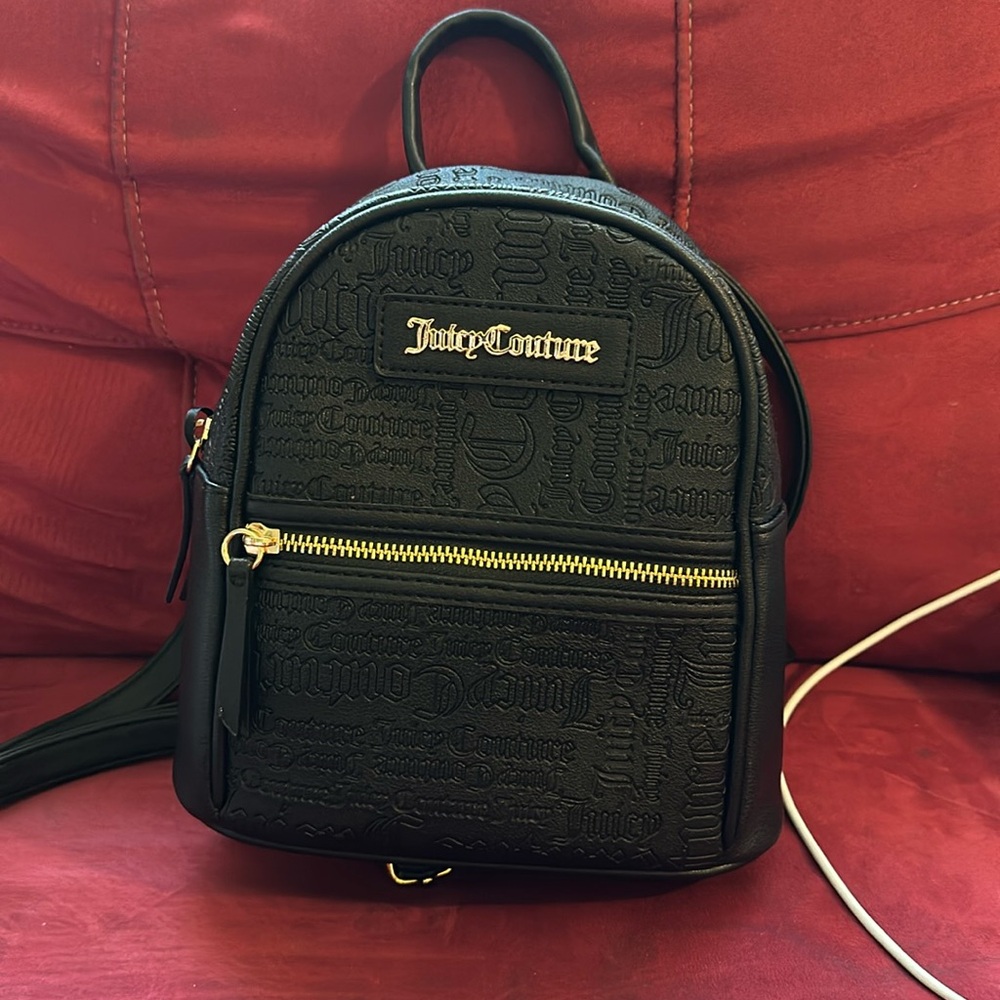 Small Juicy Couture Bag.